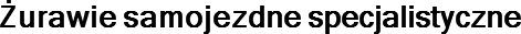 Żurawie samojezdne specjalistyczne